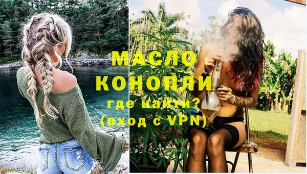 стаф Вязьма