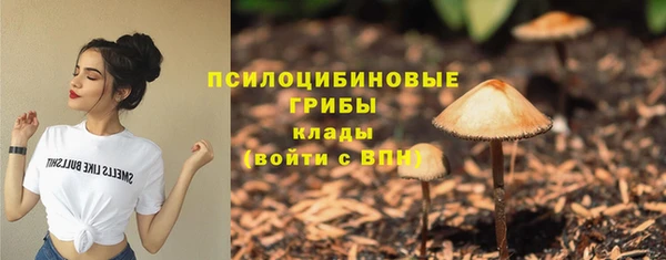стаф Вязьма