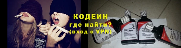 стаф Вязьма