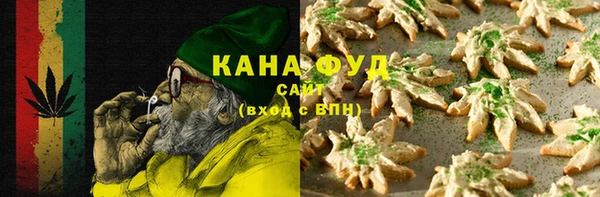 стаф Вязьма