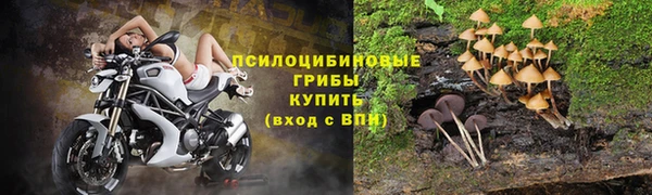 молекула духа Вязники