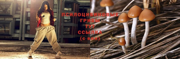 молекула духа Вязники